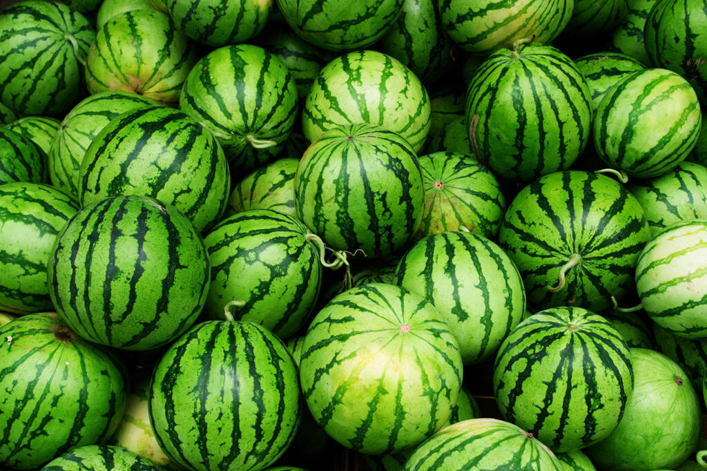 Watermelon selections - How to choose the best watermelon - watermelon for summertime - rochs fresh foods